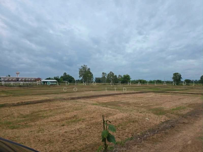 ขายที่ดินสวย ป่าสัก จ.ลำพูน, ลำพูน, ป่าสัก, เมืองลำพูน, ลำพูน, 8,092 ตร.ม., ที่ดิน ขาย, โดย ERA Holding (Thailand) Co., Ltd., 500467081 - DDproperty.com