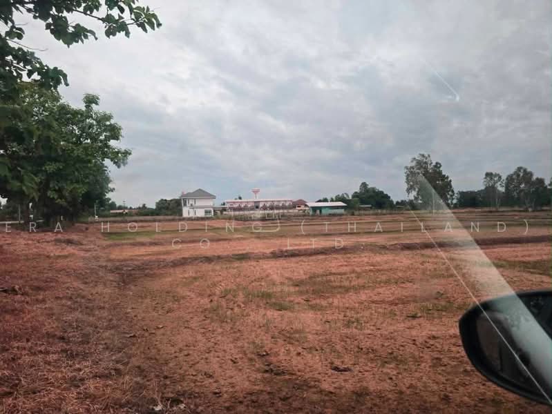 ขายที่ดินสวย ป่าสัก จ.ลำพูน, ลำพูน, ป่าสัก, เมืองลำพูน, ลำพูน, 8,092 ตร.ม., ที่ดิน ขาย, โดย ERA Holding (Thailand) Co., Ltd., 500467081 - DDproperty.com