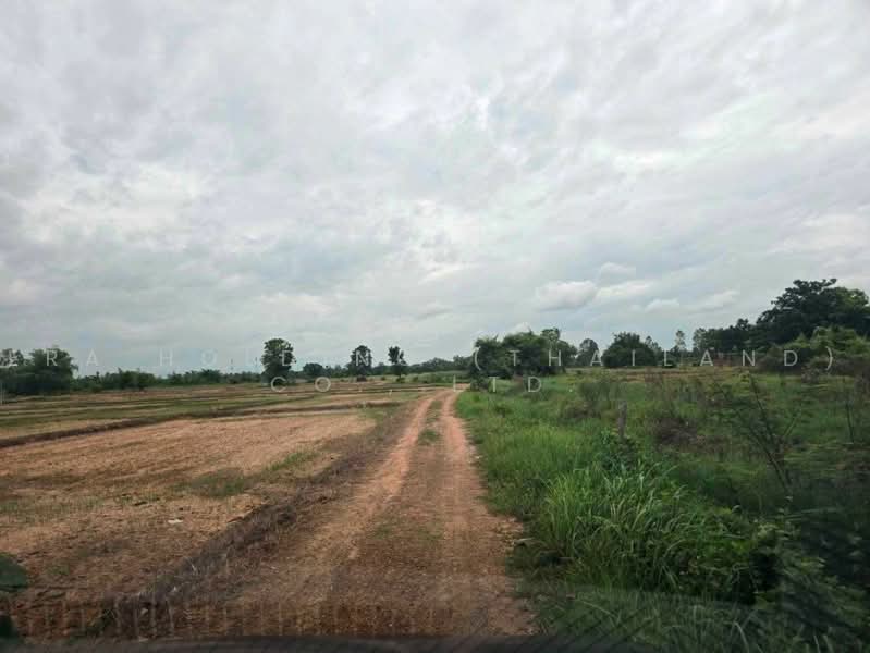 ขายที่ดินสวย ป่าสัก จ.ลำพูน, ลำพูน, ป่าสัก, เมืองลำพูน, ลำพูน, 8,092 ตร.ม., ที่ดิน ขาย, โดย ERA Holding (Thailand) Co., Ltd., 500467081 - DDproperty.com