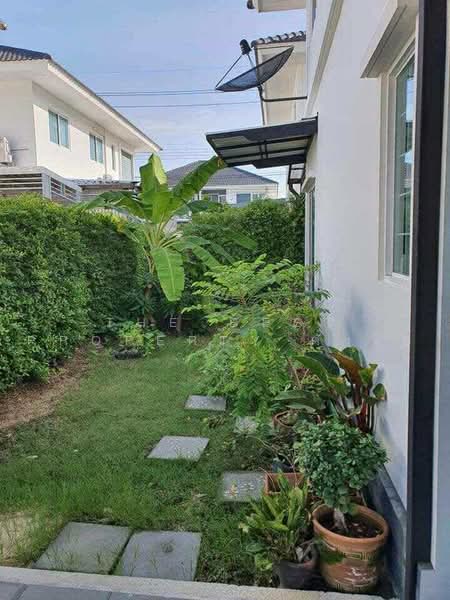 The Plant Onnut-Motorway : เดอะ แพลนท์ อ่อนนุช-มอเตอร์เวย์, สมุทรปราการ, ถนนลาดกระบัง, ศีรษะจรเข้น้อย, บางเสาธง, สมุทรปราการ, 150 ตร.ม., บ้านเดี่ยว ขาย, โดย The Best Property ตั้งโอ๋, 500467134 - DDproperty.com