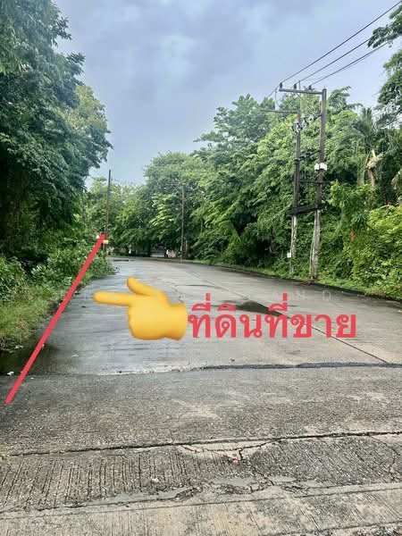 เลคการ์เด้นรังสิต, ปทุมธานี, บึงยี่โถ, ธัญบุรี, ปทุมธานี, 2,472 ตร.ม., ที่ดิน ขาย, โดย ERA Thailand, 500467155 - DDproperty.com