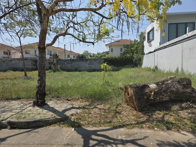Theptanee Village, Bangkok, 62 แยก 6 Chaloem Phra Kiat Rama IX Soi 62, Yaek 6, Dok Mai, Prawet, Bangkok, , 400 sqm, Land For Sale, by ปิยภูมิ ศรไพศาล, 500467212 - DDproperty.com