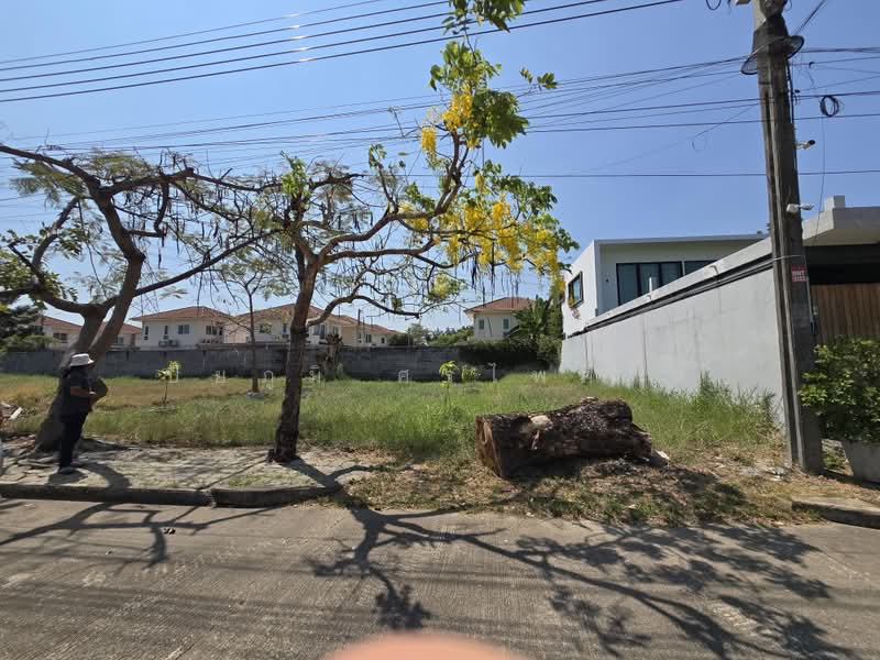 Theptanee Village : หมู่บ้านเทพธานี เฉลิมพระเกียรติ ร.9, กรุงเทพ, 62 แยก 6 ซอยเฉลิมพระเกียรติ ร.9 ซอย 62 แยก 6, ดอกไม้, ประเวศ, กรุงเทพ, 400 ตร.ม., ที่ดิน ขาย, โดย ปิยภูมิ ศรไพศาล, 500467212 - DDproperty.com