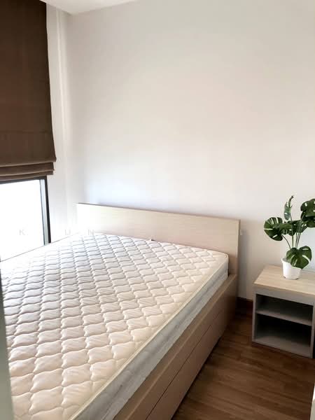 IDEO Mix Sukhumvit 103, Bangkok, Soi Udom Suk 3, Sukhumvit Road, Bang Na, Bangkok, 1 Bedroom, 32 sqm, Condo For Rent, by Khun Toey เตย, 500467228 - DDproperty.com