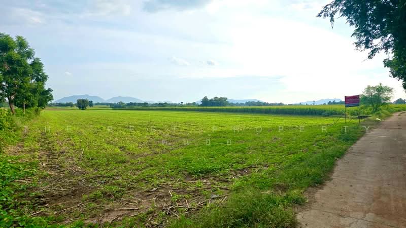 ที่ดินตากฟ้า นครสวรรค์, นครสวรรค์, พุนกยูง, ตากฟ้า, นครสวรรค์, 20,304 ตร.ม., ที่ดิน ขาย, โดย The Best Property ต้นอ้อ, 500467243 - DDproperty.com
