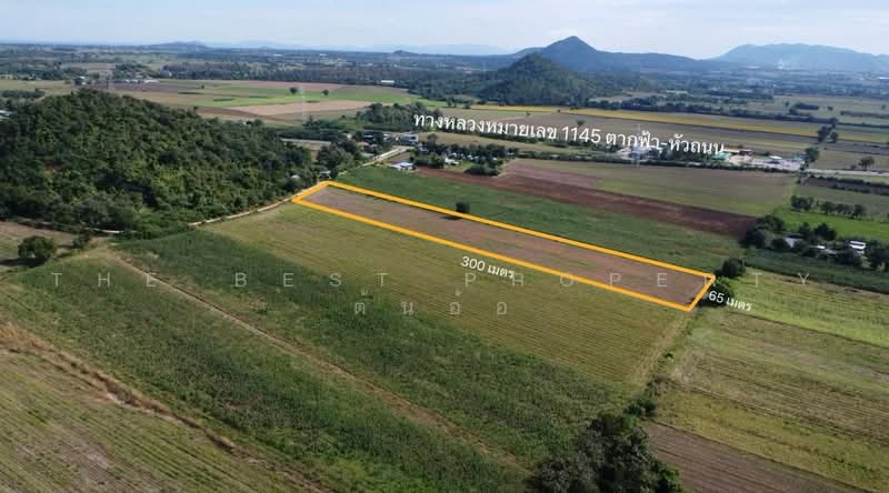 ที่ดินตากฟ้า นครสวรรค์, Nakhon Sawan, Phunok Yung, Tak Fa, Nakhon Sawan, , 20,304 sqm, Land For Sale, by The Best Property ต้นอ้อ, 500467243 - DDproperty.com