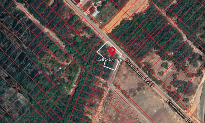 คอหงส์, สงขลา, คอหงส์, หาดใหญ่, สงขลา, 974 ตร.ม., ที่ดิน ขาย, โดย ไตรยศิริ เตมหิวงศ์, 500467314 - DDproperty.com