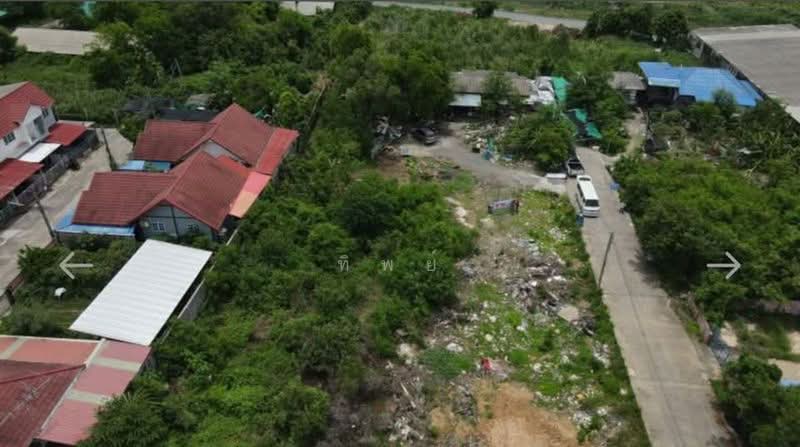 ที่ดินหลังตลาดสี่ขวาพัฒนาทางหลวงชนบท, พระนครศรีอยุธยา, ลำตาเสา, วังน้อย, พระนครศรีอยุธยา, 1,094 ตร.ม., ที่ดิน ขาย, โดย ทิพย์, 500467322 - DDproperty.com