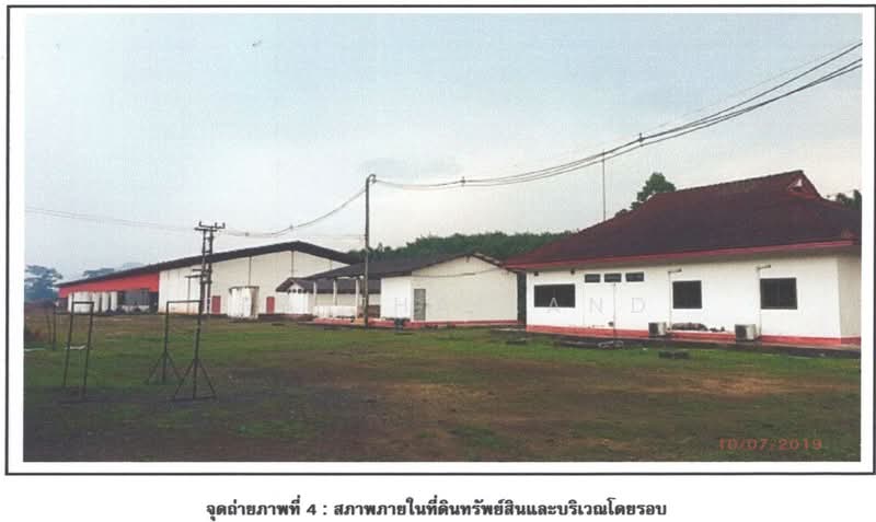 โรงงานพร้อมที่ดิน ทำเลทอง อ.กาญจนดิษฐ์ สุราษฎร์ธานี, Surat Thani, Tha Uthae, Kanchanadit, Surat Thani, , 39,320 sqm, Warehouse/Factory For Sale, by ERA Thailand, 500467380 - DDproperty.com