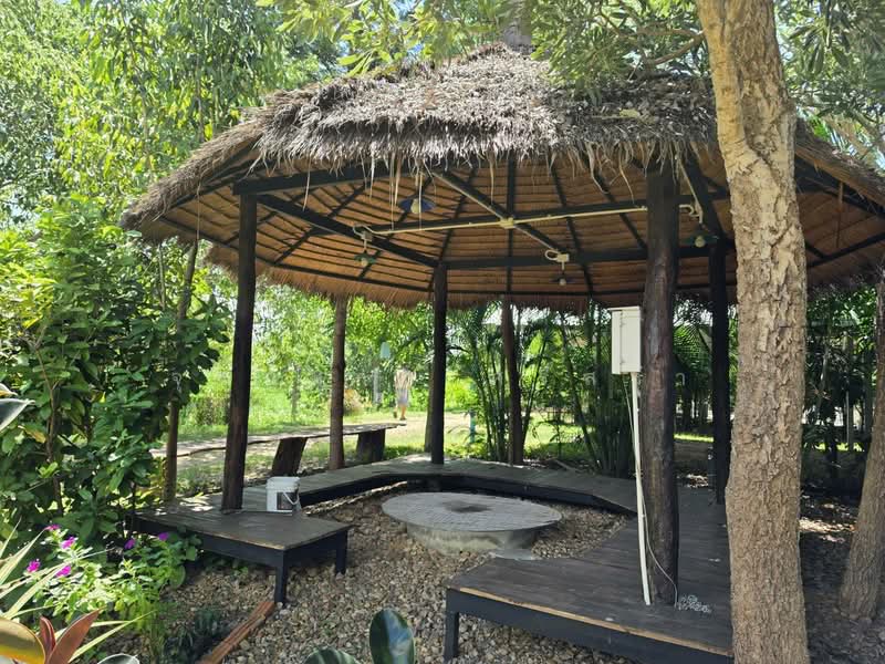 บ้านคา, Ratchaburi, Ban-Ka, Ban Kha, Ratchaburi, , 15,584 sqm, Land For Sale, by จุฑามาส ศรีสง่า, 500467398 - DDproperty.com