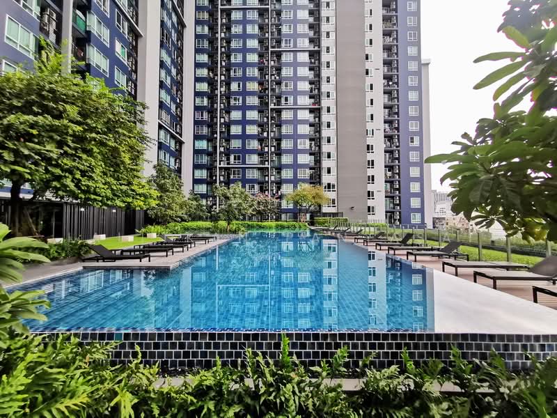 The Base Sukhumvit 77 : เดอะ เบส สุขุมวิท 77, กรุงเทพ, 289 ถนนสุขุมวิท 77, พระโขนงเหนือ, วัฒนา, กรุงเทพ, 36 ตร.ม., คอนโด ให้เช่า, โดย Lalitkan Panyasai, 500467418 - DDproperty.com