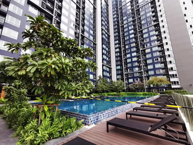 The Base Sukhumvit 77, Bangkok, 289 Sukhumvit 77 Road, Phra Kanong Nua, Watthana, Bangkok, 1 Bedroom, 36 sqm, Condo For Rent, by Lalitkan Panyasai, 500467418 - DDproperty.com