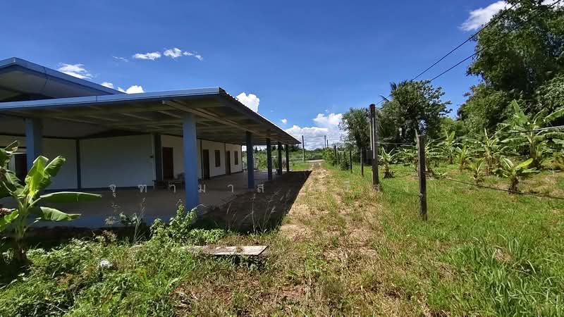 บ้านคา, Ratchaburi, Ban-Ka, Ban Kha, Ratchaburi, , 3,200 sqm, Land For Sale, by จุฑามาส ศรีสง่า, 500467423 - DDproperty.com