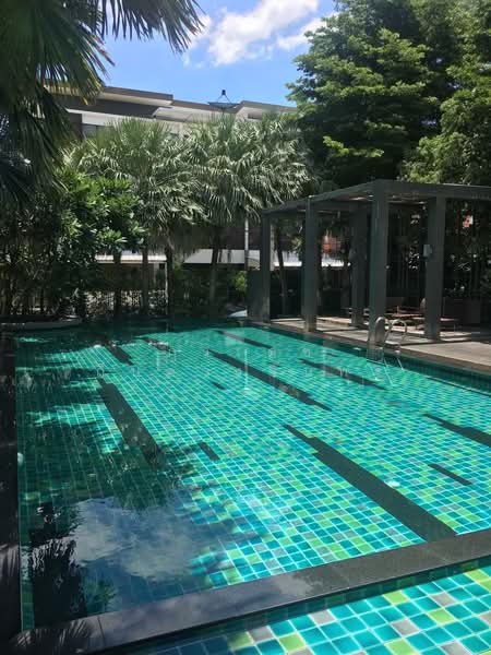 Six Nature กัลปพฤกษ์, Bangkok, Bang Khae, Bangkok, 3 Bedrooms, 220 sqm, Townhouse For Rent, by ภูวเดช ถิ่นดวงจันทร์, 500467475 - DDproperty.com