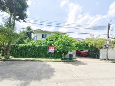 ขาย - Baan Ladprao Yothin Phattana 11 : บ้านลาดพร้าว โยธินพัฒนา 11, กรุงเทพ
