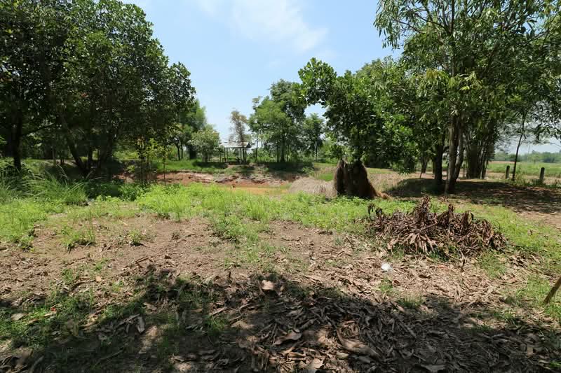 หนองหาน จังหวัดอุดรธานี, อุดรธานี, ผักตบ, หนองหาน, อุดรธานี, 14,436 ตร.ม., ที่ดิน ขาย, โดย วีรภัทรา ดาร์เปอร์, 500467621 - DDproperty.com