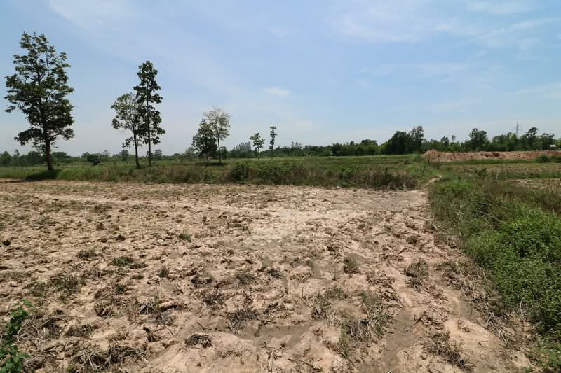หนองหาน จังหวัดอุดรธานี, อุดรธานี, ผักตบ, หนองหาน, อุดรธานี, 14,436 ตร.ม., ที่ดิน ขาย, โดย วีรภัทรา ดาร์เปอร์, 500467621 - DDproperty.com