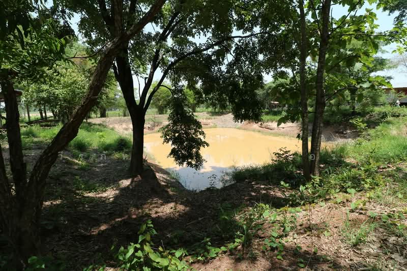 หนองหาน จังหวัดอุดรธานี, อุดรธานี, ผักตบ, หนองหาน, อุดรธานี, 14,436 ตร.ม., ที่ดิน ขาย, โดย วีรภัทรา ดาร์เปอร์, 500467621 - DDproperty.com