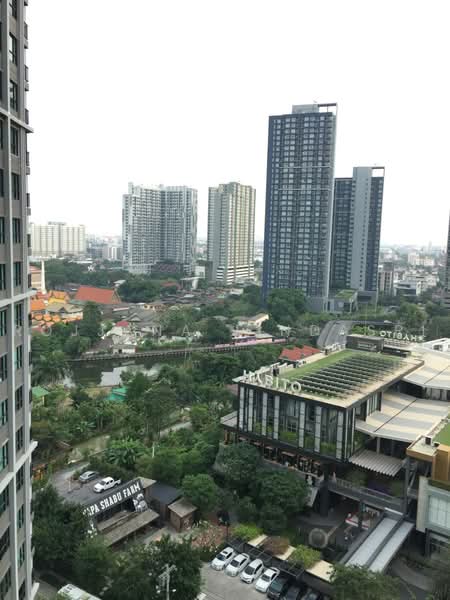 The Base Park East Sukhumvit 77, Bangkok, 99 Soi Pridi Banomyong 2, Phra Kanong Nua, Watthana, Bangkok, 2 Bedrooms, 50 sqm, Condo For Rent, by Rojjana Jindasri, 500467639 - DDproperty.com