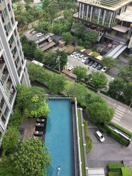 The Base Park East Sukhumvit 77 : เดอะ เบส พาร์ค อีส สุขุมวิท 77, กรุงเทพ, 99 ซอย ปรีดีพนมยงค์ 2, พระโขนงเหนือ, วัฒนา, กรุงเทพ, 50 ตร.ม., คอนโด ให้เช่า, โดย Rojjana Jindasri, 500467639 - DDproperty.com