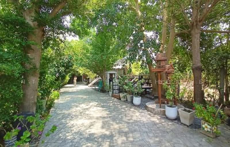 บ้านเรือนไทยริมน้ำ บางไทร อยุธยา, พระนครศรีอยุธยา, บางพลี, บางไทร, พระนครศรีอยุธยา, 300 ตร.ม., บ้านเดี่ยว ขาย, โดย NTG Property House Co.,Ltd., 500467646 - DDproperty.com