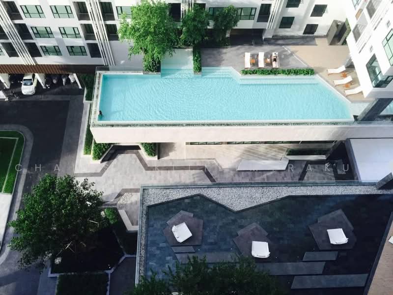 The Base Central Pattaya : เดอะ เบส เซ็นทรัล พัทยา, ชลบุรี, ถนนพัทยาสาย 2, บางละมุง, ชลบุรี, 31 ตร.ม., คอนโด ให้เช่า, โดย Chalisa Kitilimtrakul, 500467761 - DDproperty.com