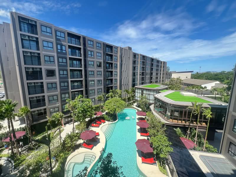 THE Base Cherngtalay, Phuket, Choeng Thale, Thalang, Phuket, 1 Bedroom, 35 sqm, Condo For Rent, by Pitiyaporn Pornkhuntod, 500467779 - DDproperty.com