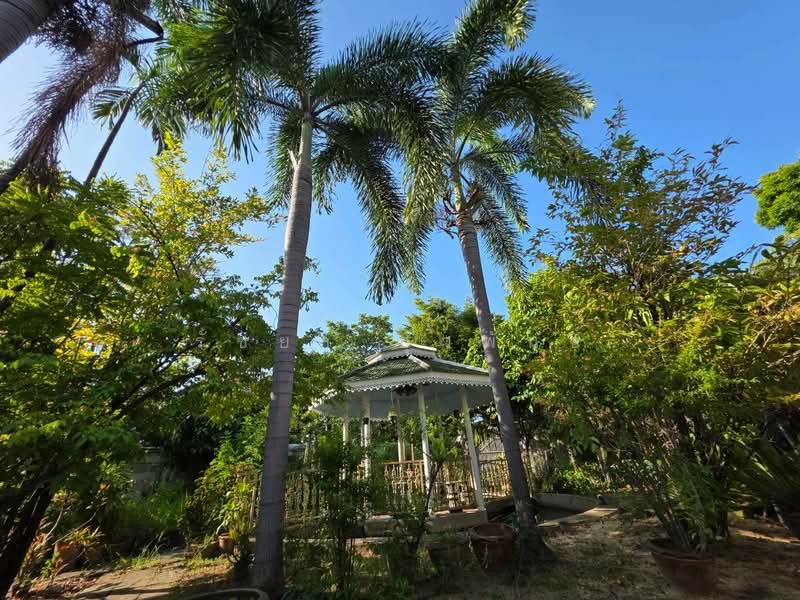 For sale: House with land, 191 sq.wa (large plot), Rare Item!! Soi Boon Siri, near BTS Royal Thai Na, Samut Prakan, Pak Nam, Muang Samut Prakarn, Samut Prakan, , 764 sqm, Land For Sale, by Rachaya Yuvaphan, 500467807 - DDproperty.com