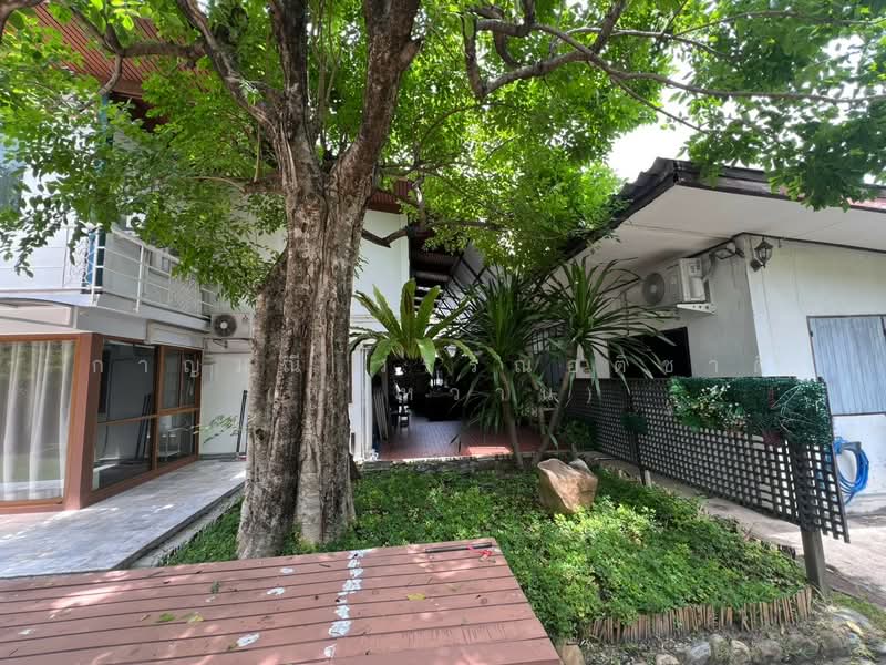 ลาดพร้าว 33 แยก 5, Bangkok, Chan Kasem, Chatuchak, Bangkok, , 1,312 sqm, Land For Sale, by กาญมณี วรรณอติชาติ (หมูหวาน), 500467819 - DDproperty.com