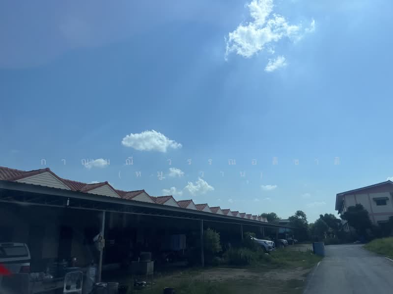 ที่ดิน พร้อมบ้านเช่า 32 ห้อง, ปทุมธานี, คลองสาม, คลองหลวง, ปทุมธานี, 850 ตร.ม., กิจการ ขาย, โดย กาญมณี วรรณอติชาติ (หมูหวาน), 500467867 - DDproperty.com