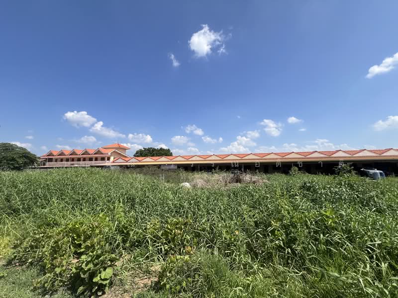 ที่ดิน พร้อมบ้านเช่า 32 ห้อง, ปทุมธานี, คลองสาม, คลองหลวง, ปทุมธานี, 850 ตร.ม., กิจการ ขาย, โดย กาญมณี วรรณอติชาติ (หมูหวาน), 500467867 - DDproperty.com