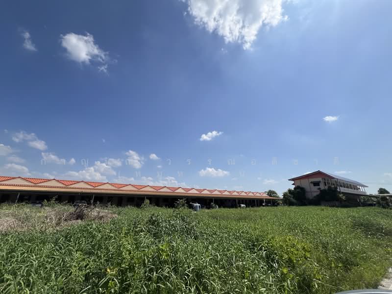 ที่ดิน พร้อมบ้านเช่า 32 ห้อง, Pathum Thani, Khlong Sam, Khlong Luang, Pathum Thani, , 850 sqm, Business For Sale, by กาญมณี วรรณอติชาติ (หมูหวาน), 500467867 - DDproperty.com