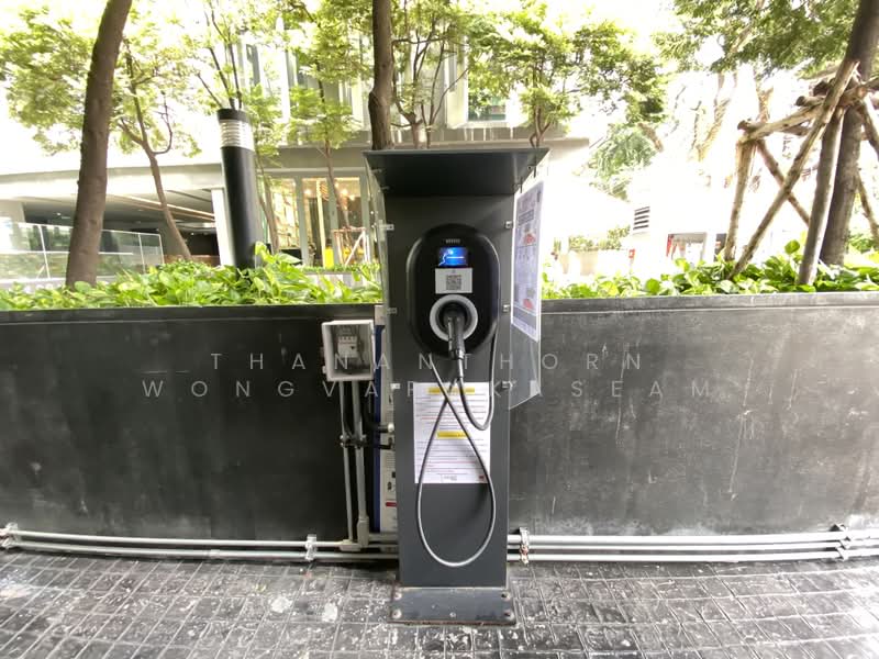 Siamese Gioia, Bangkok, Sukhumvit 31 Road, Khlong Tan Nua, Watthana, Bangkok, 2 Bedrooms, 70 sqm, Condo For Rent, by Thananthorn Wongvarnkaseam, 500467898 - DDproperty.com
