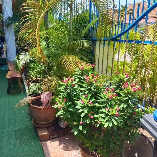 3-BR House, Chon Buri (Pattaya), Nong Pru, Bang Lamung (Pattaya), Chon Buri (Pattaya), 3 Bedrooms, 150 sqm, Single Detached House For Sale, by Chalisa Kitilimtrakul, 500467959 - DDproperty.com