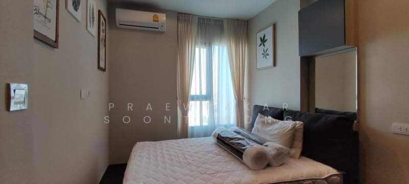C Ekkamai, Bangkok, 888 Soi Sukhumvit 63, Sukhumvit Road, Khlong Tan Nua, Watthana, Bangkok, 1 Bedroom, 30 sqm, Condo For Rent, by Praewpakar Soontawong, 500467964 - DDproperty.com
