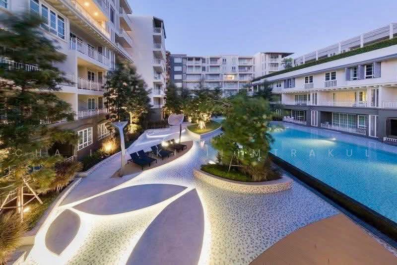 Autumn Hua Hin, Prachuap Khiri Khan, Nong Kae, Hua Hin, Prachuap Khiri Khan, 1 Bedroom, 41 sqm, Condo For Rent, by Chalisa Kitilimtrakul, 500468071 - DDproperty.com