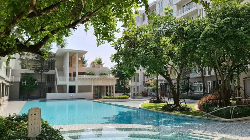 Autumn Hua Hin : ออทัมน์ หัวหิน, ประจวบคีรีขันธ์, หนองแก-ตะเกียบ, หนองแก, หัวหิน, ประจวบคีรีขันธ์, 41 ตร.ม., คอนโด ให้เช่า, โดย Chalisa Kitilimtrakul, 500468071 - DDproperty.com