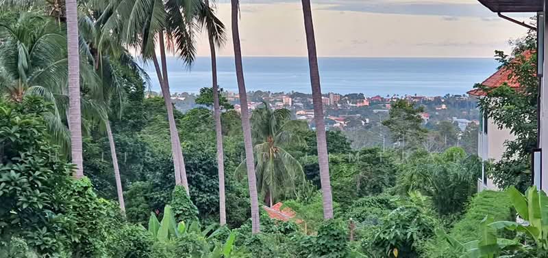 Studio House, Surat Thani, Bo Put, Ko Samui, Surat Thani, Studio, 1,427 sqm, Single Detached House For Sale, by Chalisa Kitilimtrakul, 500468077 - DDproperty.com