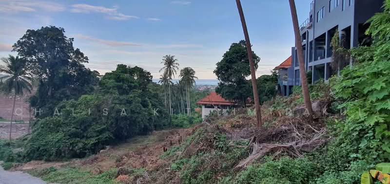 Studio House, Surat Thani, Bo Put, Ko Samui, Surat Thani, Studio, 1,427 sqm, Single Detached House For Sale, by Chalisa Kitilimtrakul, 500468077 - DDproperty.com