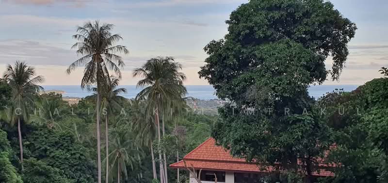 บ้าน สตูดิโอ, สุราษฎร์ธานี, บ่อผุด, เกาะสมุย, สุราษฎร์ธานี, 1,427 ตร.ม., บ้านเดี่ยว ขาย, โดย Chalisa Kitilimtrakul, 500468077 - DDproperty.com