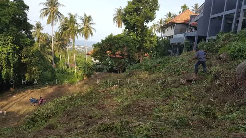 Studio House, Surat Thani, Bo Put, Ko Samui, Surat Thani, Studio, 1,427 sqm, Single Detached House For Sale, by Chalisa Kitilimtrakul, 500468077 - DDproperty.com