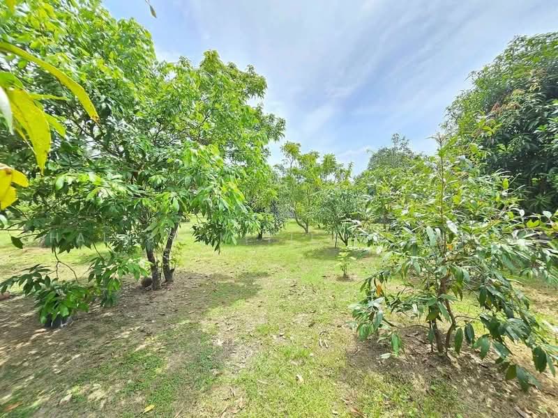3-BR House, Chon Buri (Pattaya), Bang Phra, Si Racha, Chon Buri (Pattaya), 3 Bedrooms, 204 sqm, Single Detached House For Sale, by Chalisa Kitilimtrakul, 500468119 - DDproperty.com