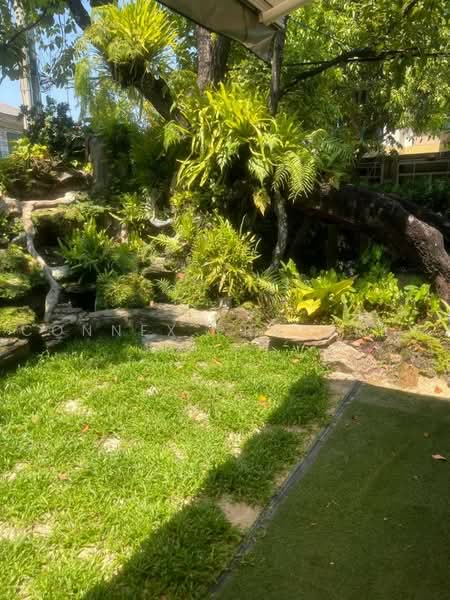 The Plant Pattanakarn, Bangkok, Soi Phatthanakan 38, Suan Luang, Bangkok, 3 Bedrooms, 225 sqm, Single Detached House For Sale, by Connex Property, 500468181 - DDproperty.com
