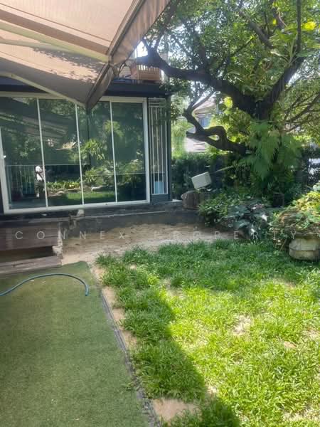 The Plant Pattanakarn, Bangkok, Soi Phatthanakan 38, Suan Luang, Bangkok, 3 Bedrooms, 225 sqm, Single Detached House For Sale, by Connex Property, 500468181 - DDproperty.com