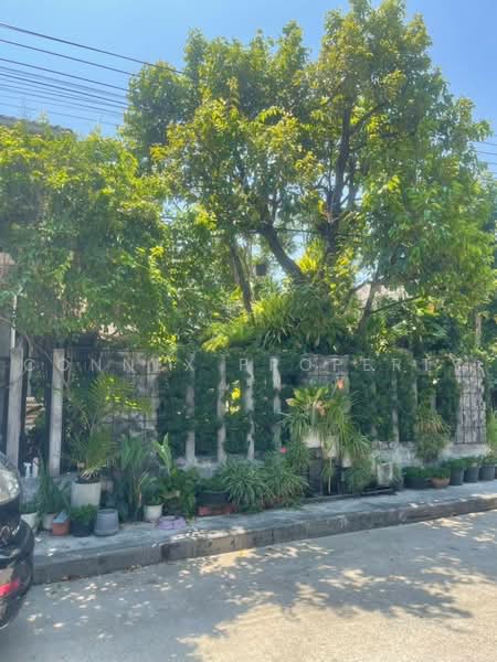 The Plant Pattanakarn : เดอะ แพลนท์ พัฒนาการ, กรุงเทพ, ซอยพัฒนาการ 38, สวนหลวง, กรุงเทพ, 225 ตร.ม., บ้านเดี่ยว ขาย, โดย Connex Property, 500468181 - DDproperty.com