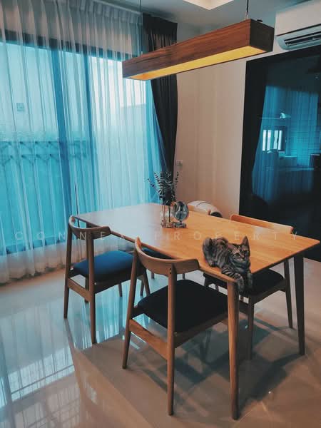 Supalai Essence Ladprao, Bangkok, Soi Ladprao 107, Khlong Chan, Bang Kapi, Bangkok, 4 Bedrooms, 181 sqm, Single Detached House For Sale, by Connex Property, 500468212 - DDproperty.com