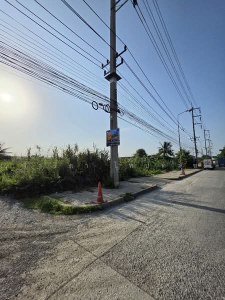 ขายที่ดินปทุมธานี อำเภอเมือง แปลงมุม 1-2-80 ไร่ ถนนปทุมธานีสายใน, ปทุมธานี, บางขะแยง, เมืองปทุมธานี, ปทุมธานี, 2,720 ตร.ม., ที่ดิน ขาย, โดย ฟารีดา ไทปทาน, 500468332 - DDproperty.com