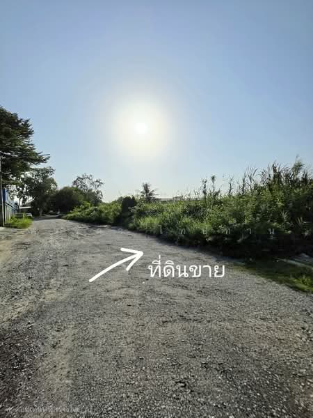 ขายที่ดินปทุมธานี อำเภอเมือง แปลงมุม 1-2-80 ไร่ ถนนปทุมธานีสายใน, ปทุมธานี, บางขะแยง, เมืองปทุมธานี, ปทุมธานี, 2,720 ตร.ม., ที่ดิน ขาย, โดย ฟารีดา ไทปทาน, 500468332 - DDproperty.com