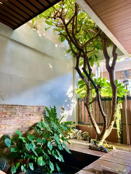 3-BR Townhouse, Bangkok, Khlong Tan Nua, Watthana, Bangkok, 3 Bedrooms, 160 sqm, Townhouse For Rent, by Boonraksa Sopak, 500468514 - DDproperty.com