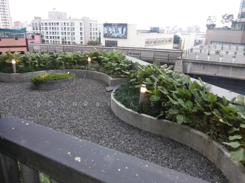 Rhythm Sukhumvit 44/1, Bangkok, Sukhumvit Road, Phra Kanong, Khlong Toei, Bangkok, 1 Bedroom, 32 sqm, Condo For Rent, by Boonraksa Sopak, 500468549 - DDproperty.com